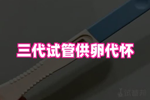 试管助孕网站 2