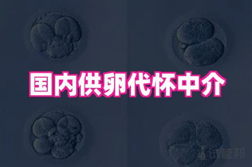 试管助孕网站 3