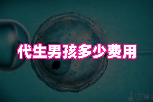 试管助孕网站 4